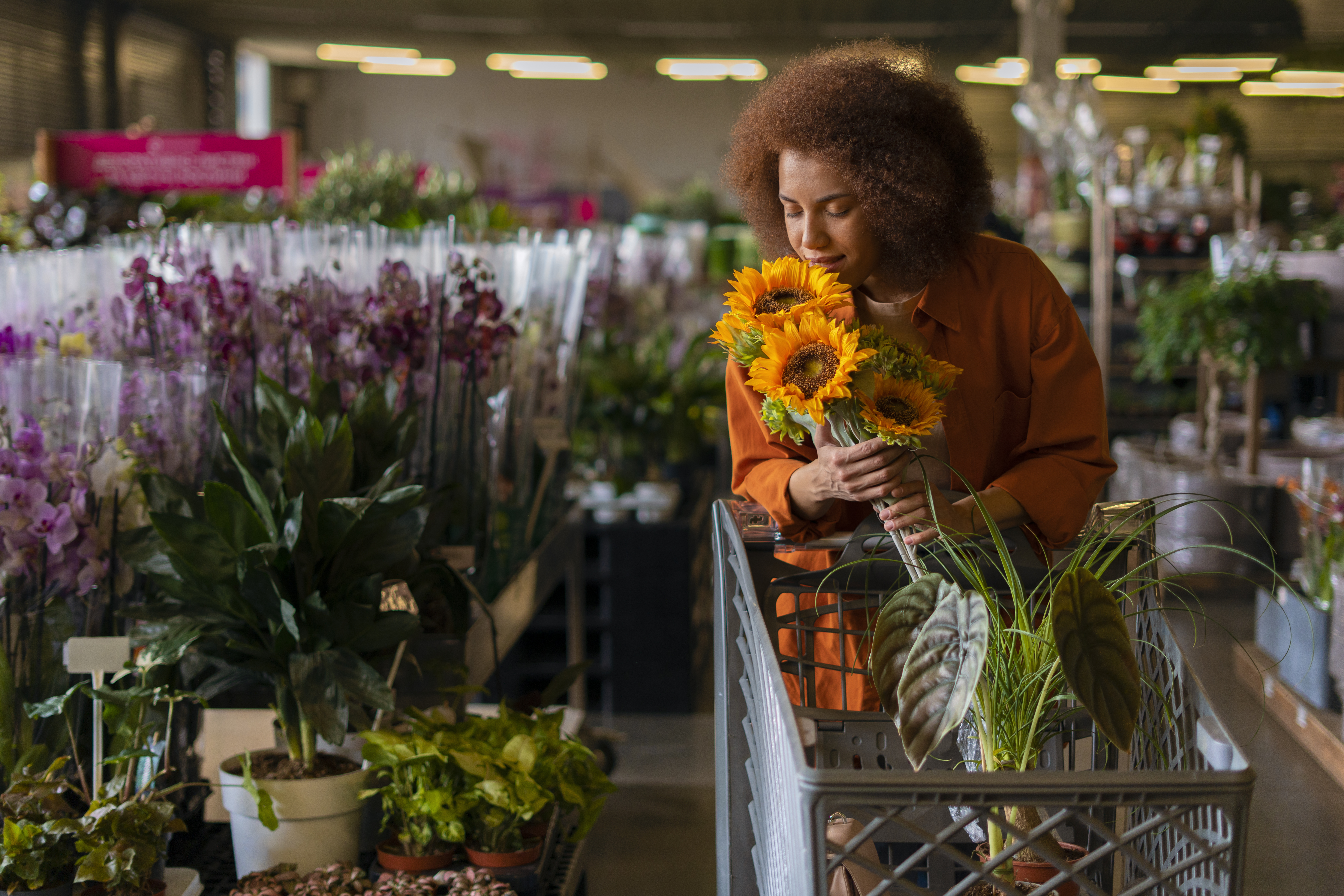 Saiba como adaptar os supermercados para a chegada da primavera