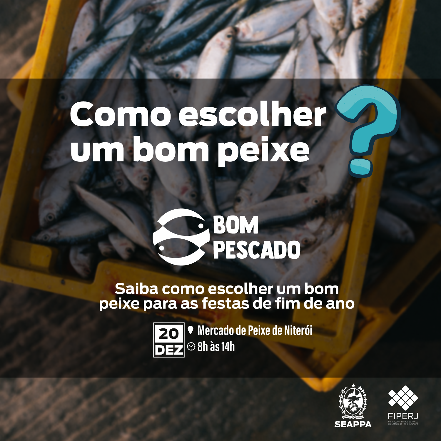 Confira dicas sobre consumo de pescado para as festas de fim de ano