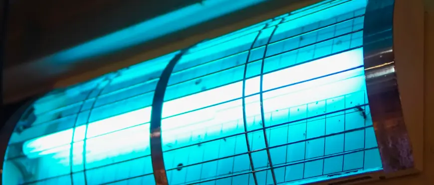 Armadilha luminosa para insetos: como usar adequadamente