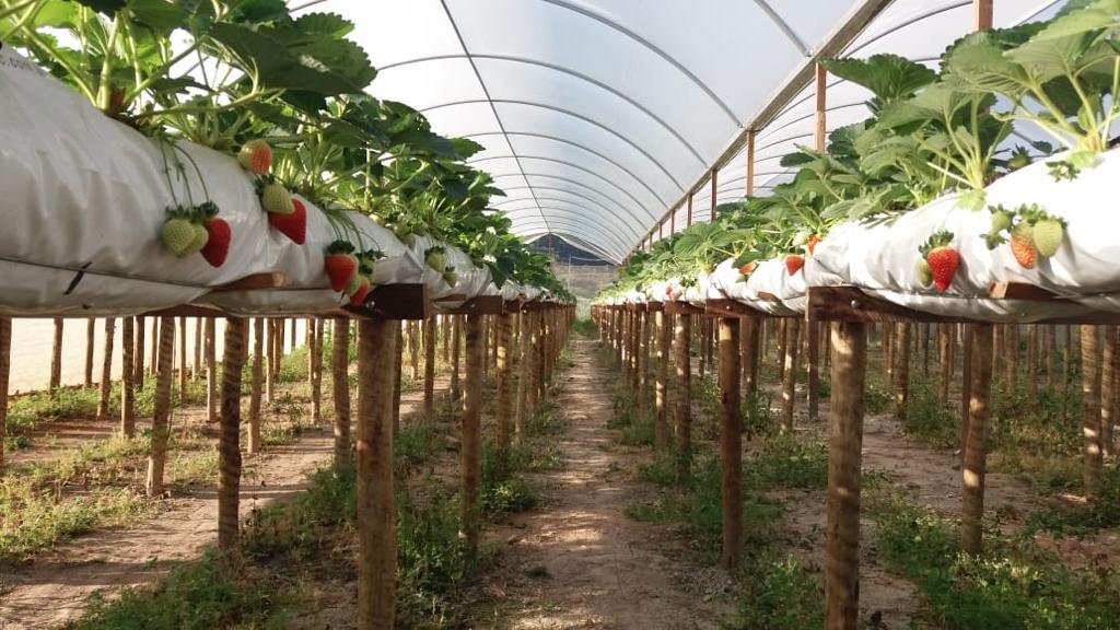 ASSERJ e Secretaria de Agricultura fazem parceria para escoar produção de pequenos produtores rurais