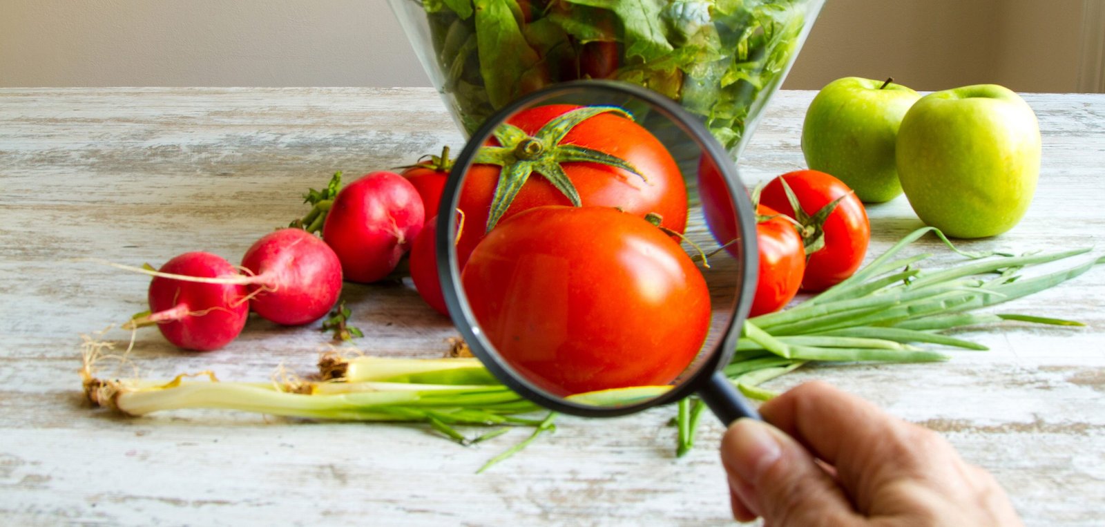 Conselho dos Alimentos Seguros da ASSERJ se reúne com o Ministério da Agricultura