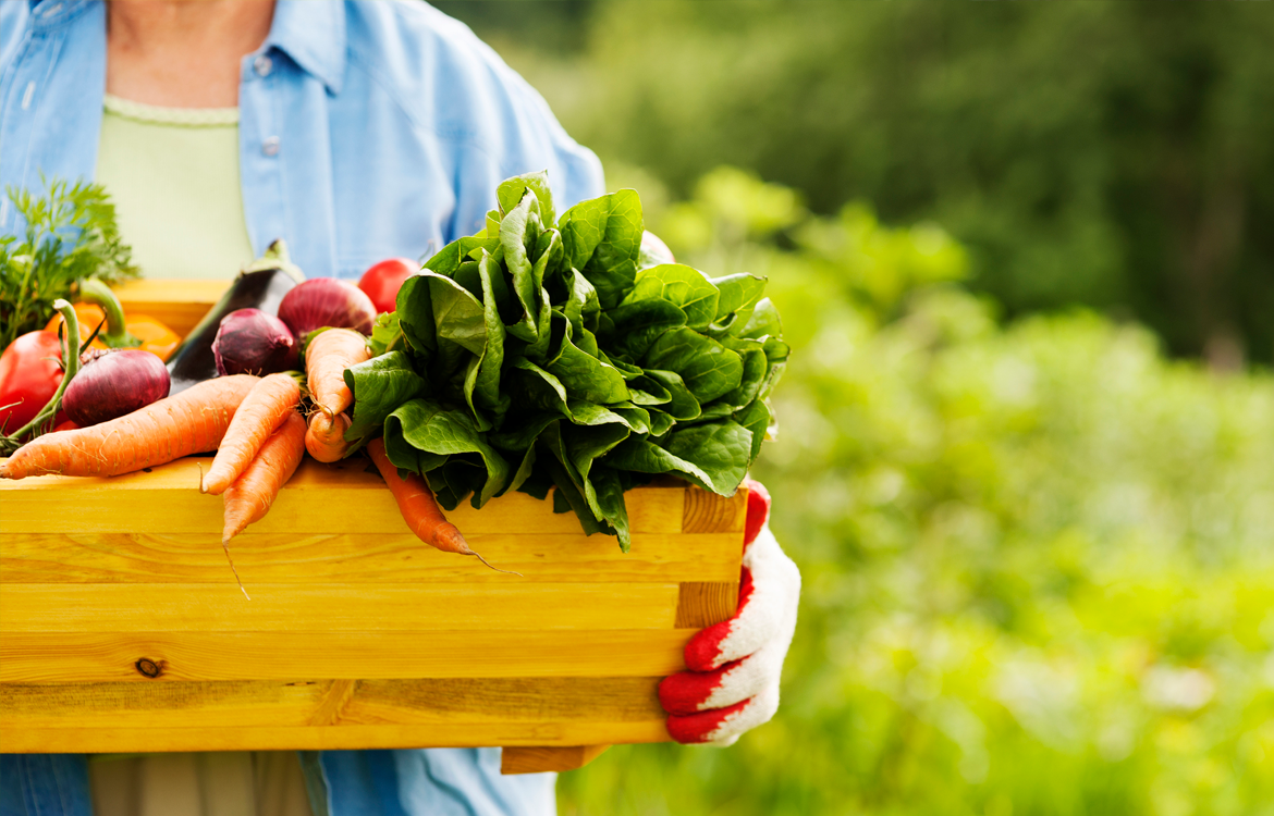 Dia do Controle da Poluição por Agrotóxicos é importante para conscientização de segurança alimentar