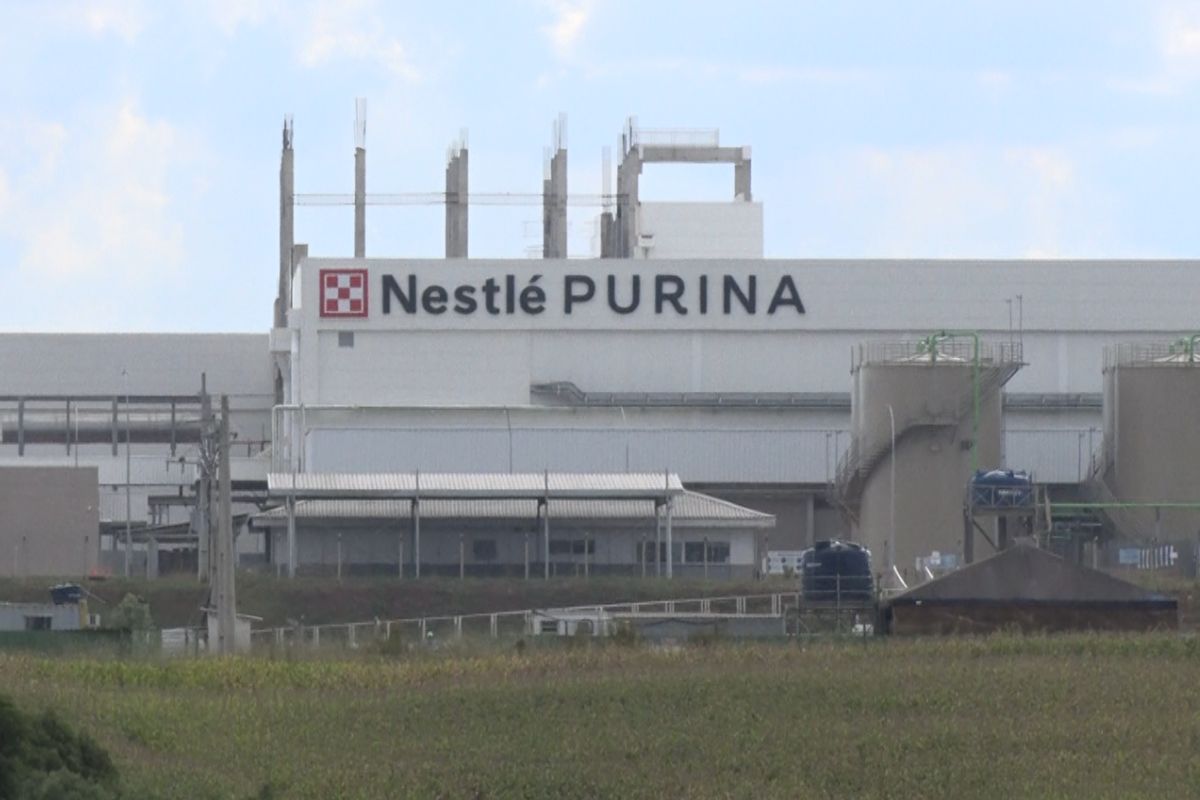 De olho em setor pet, Nestlé investe R$ 2,5 bilhões em nova fábrica pet