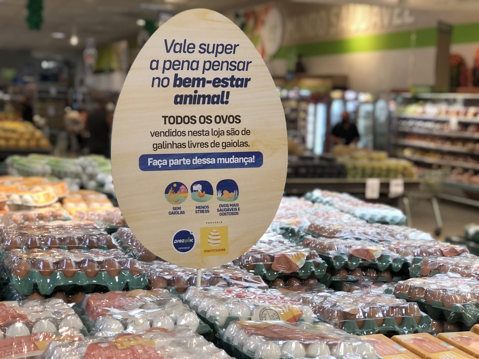 “Cage Free”: Prezunic na Barra passa a vender apenas ovos de galinhas criadas livres