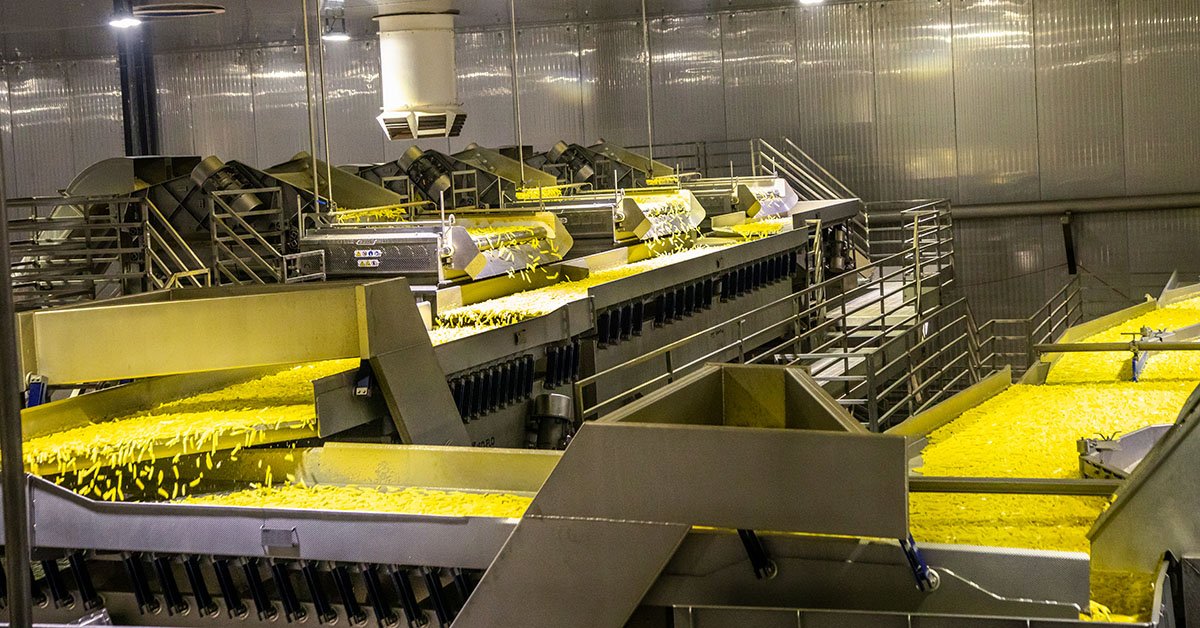 Tecnologia e automação dão mais dinâmica aos processos da Bem Brasil