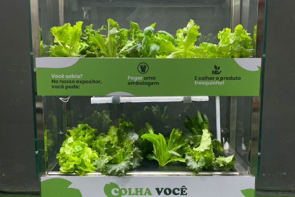Pão de Açúcar em parceria com a 100% Livre proporciona experiência de “mini fazendas verticais” na compra de vegetais frescos e sem agrotóxicos