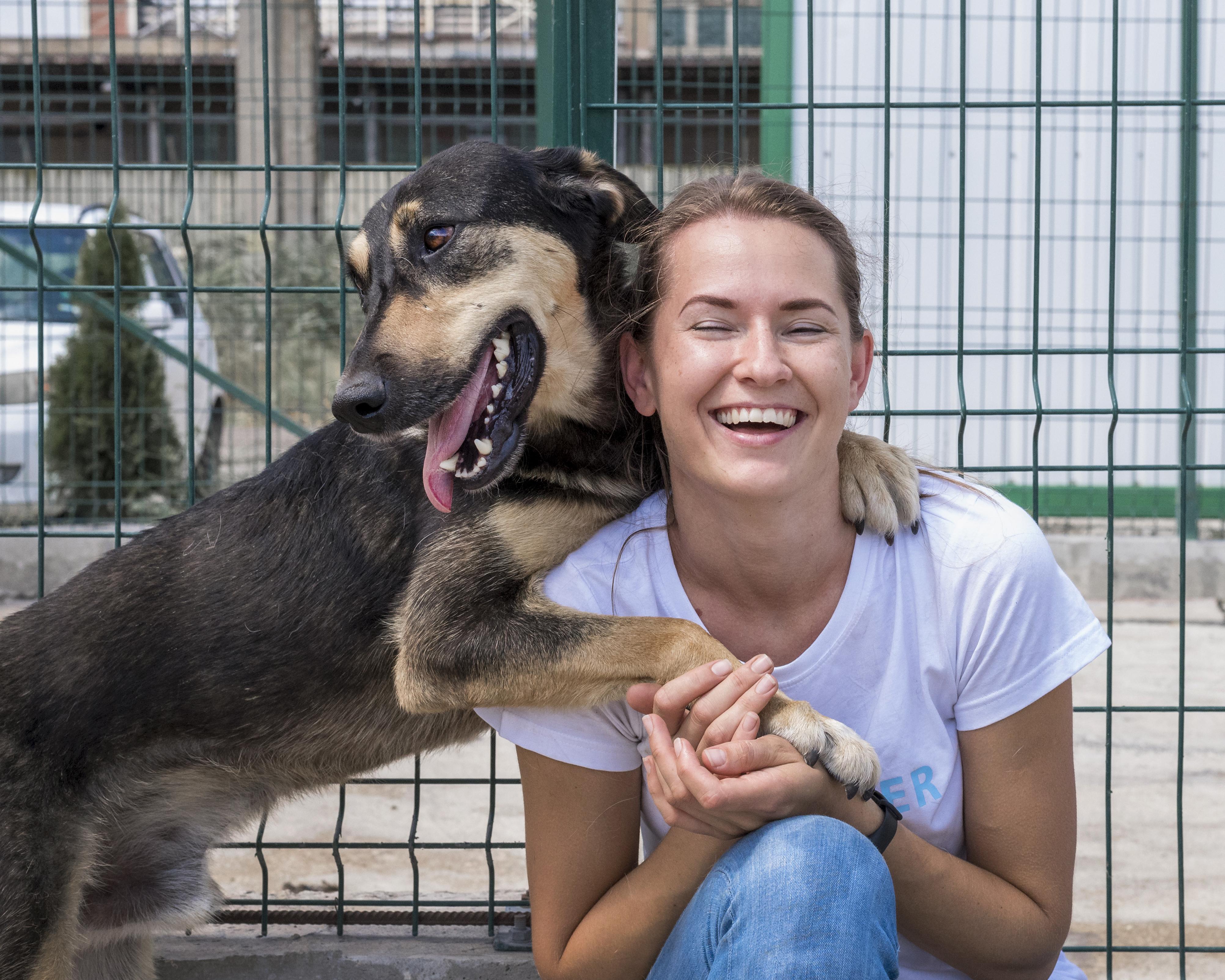 Carrefour Barra promove feira de adoção responsável de pets com animais vacinados e castrados