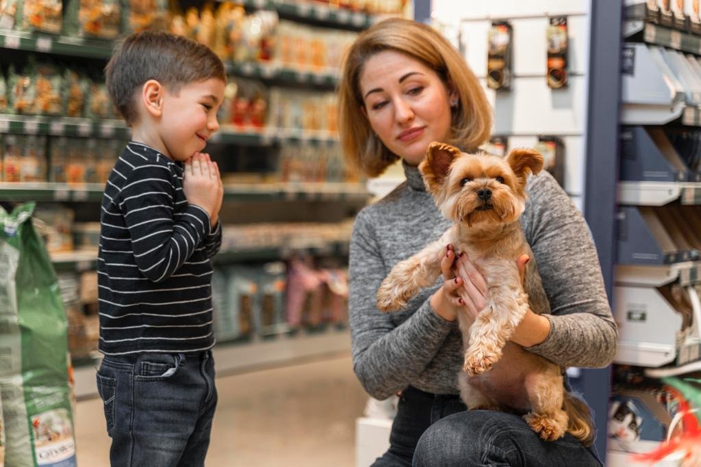 Decreto de regulamentação do PET Friendly nos supermercados