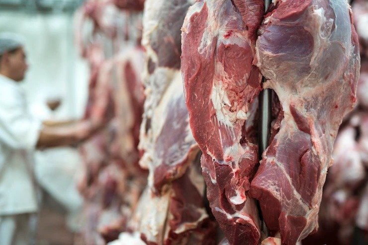 Exportações de carne bovina crescem 42% em receita e 26% em volume em 2022