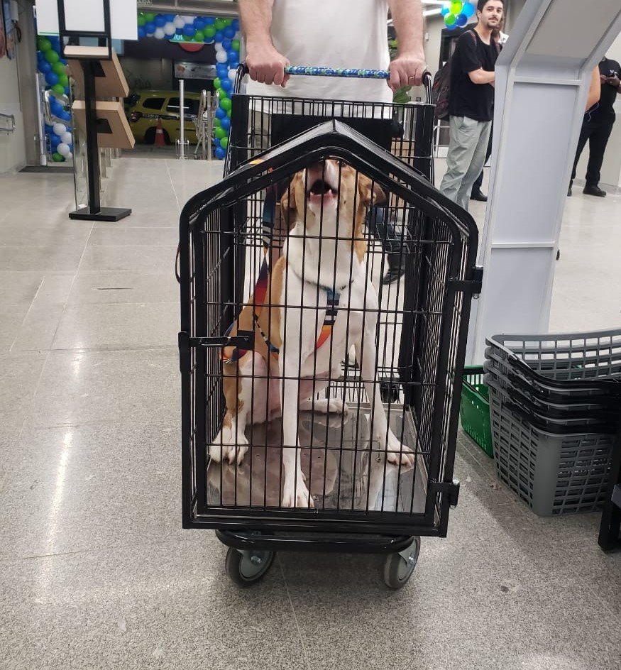 Pets são bem-vindos na nova loja do Prezunic